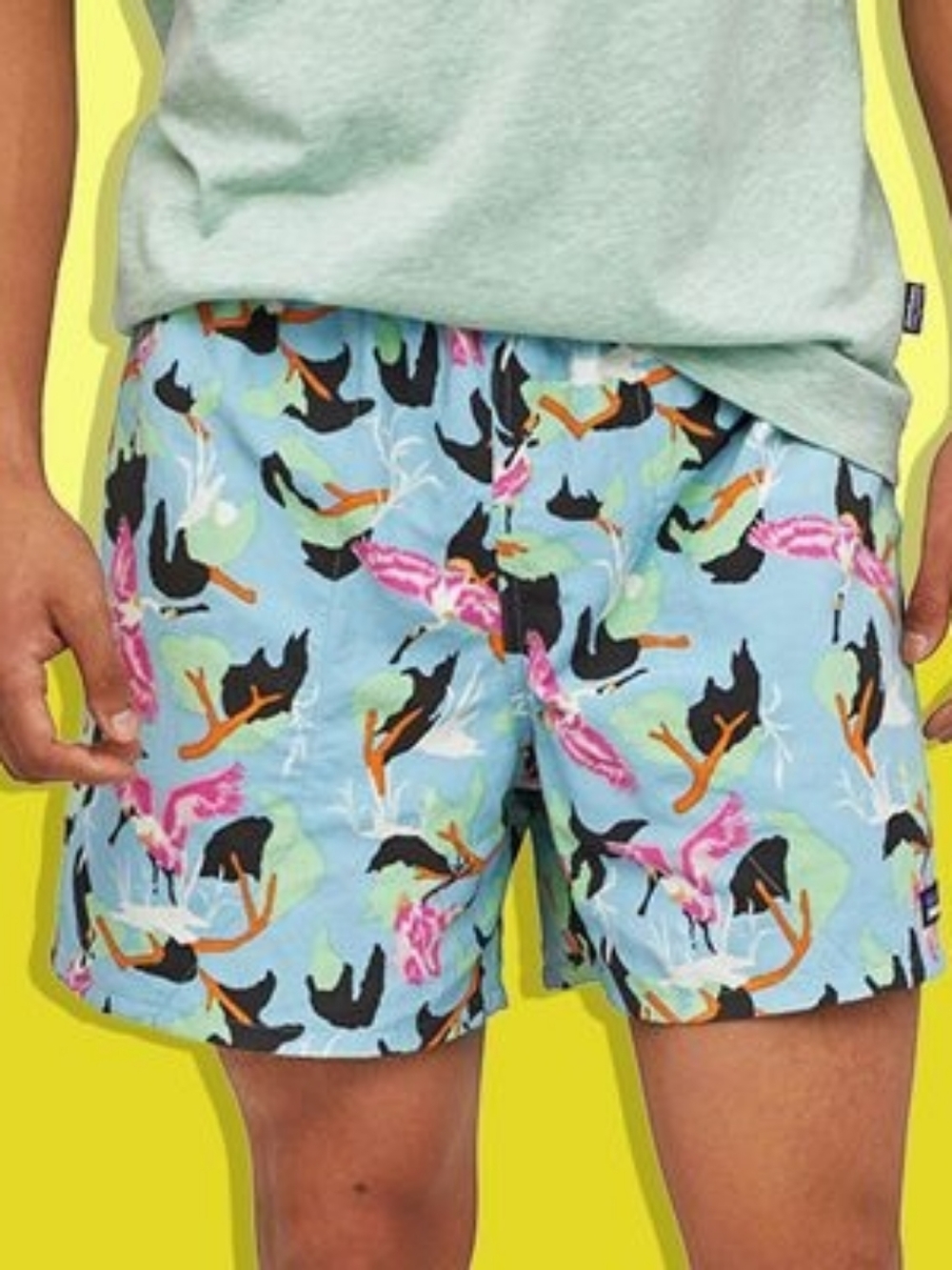 Patagonia Baggies Men's Shorts Swim Trunks - Bird Print - Large